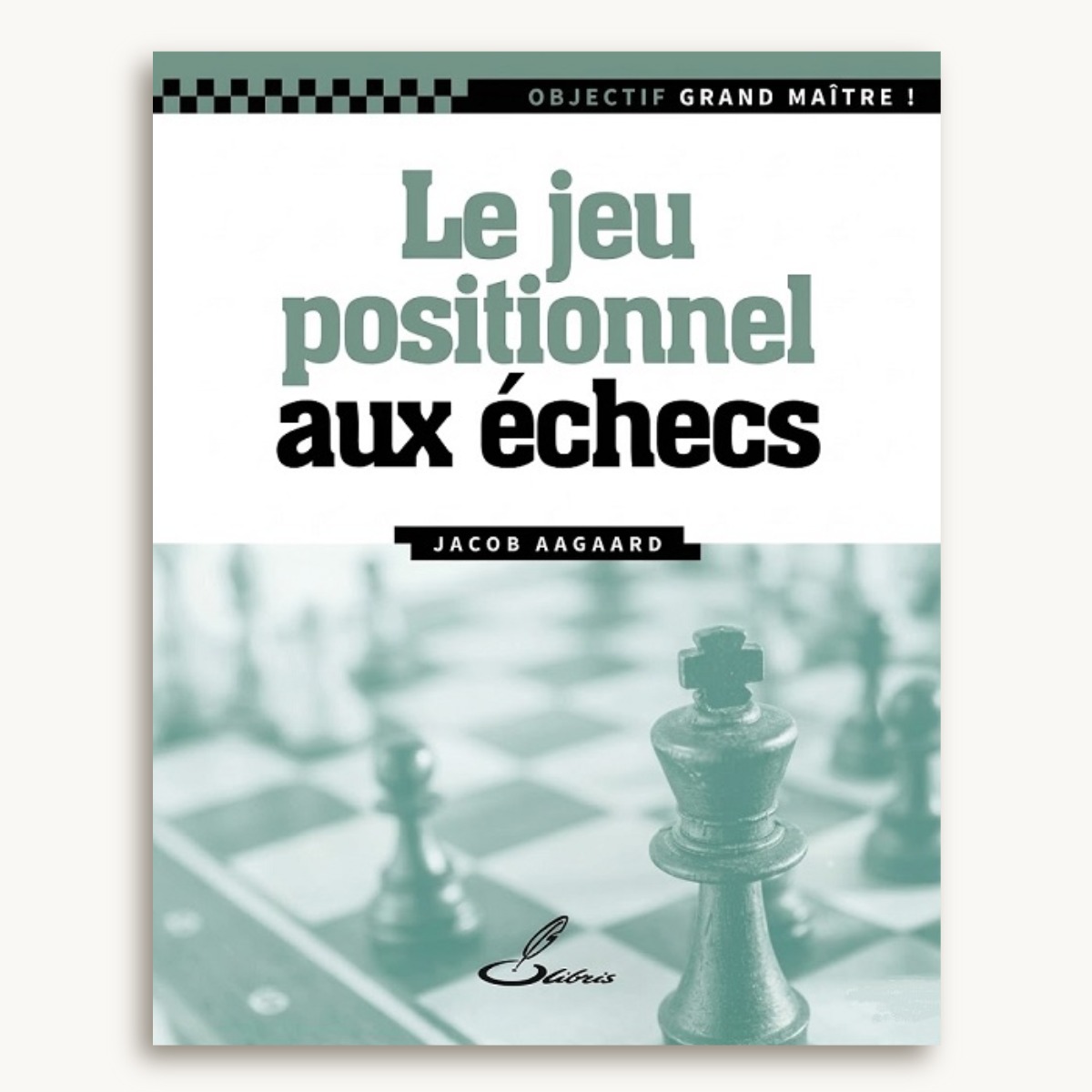 Objectif grand maître ! Le jeu positionnel aux échecs - image 1