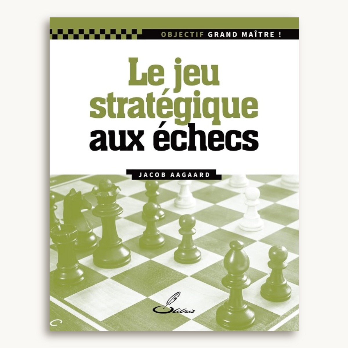 Objectif grand maître ! Le jeu stratégique aux échecs - image 1