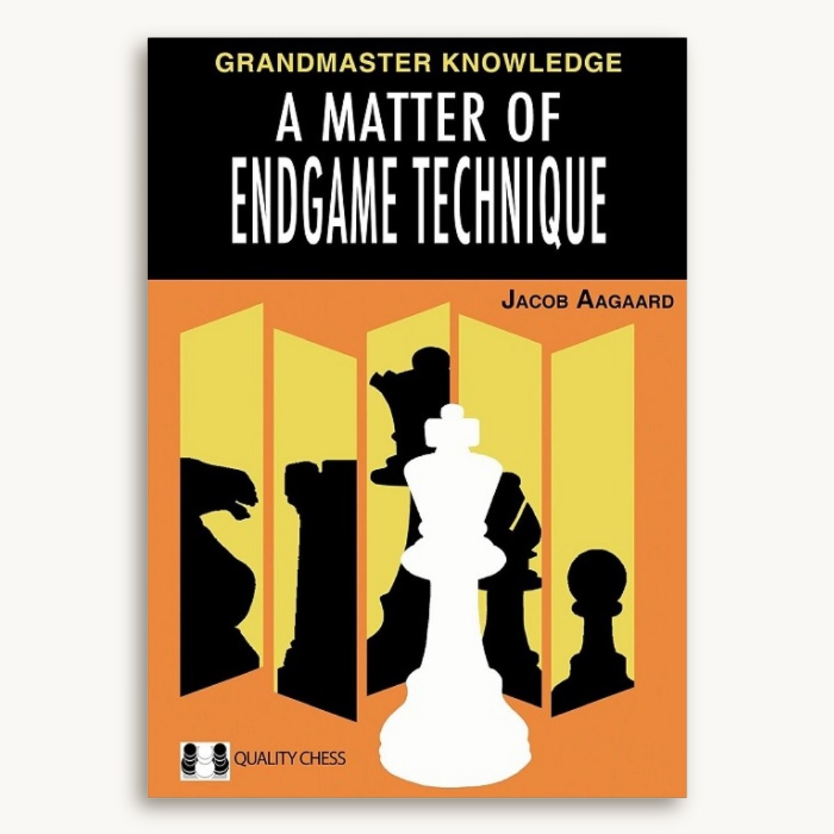 A Matter of Endgame Technique - image 1