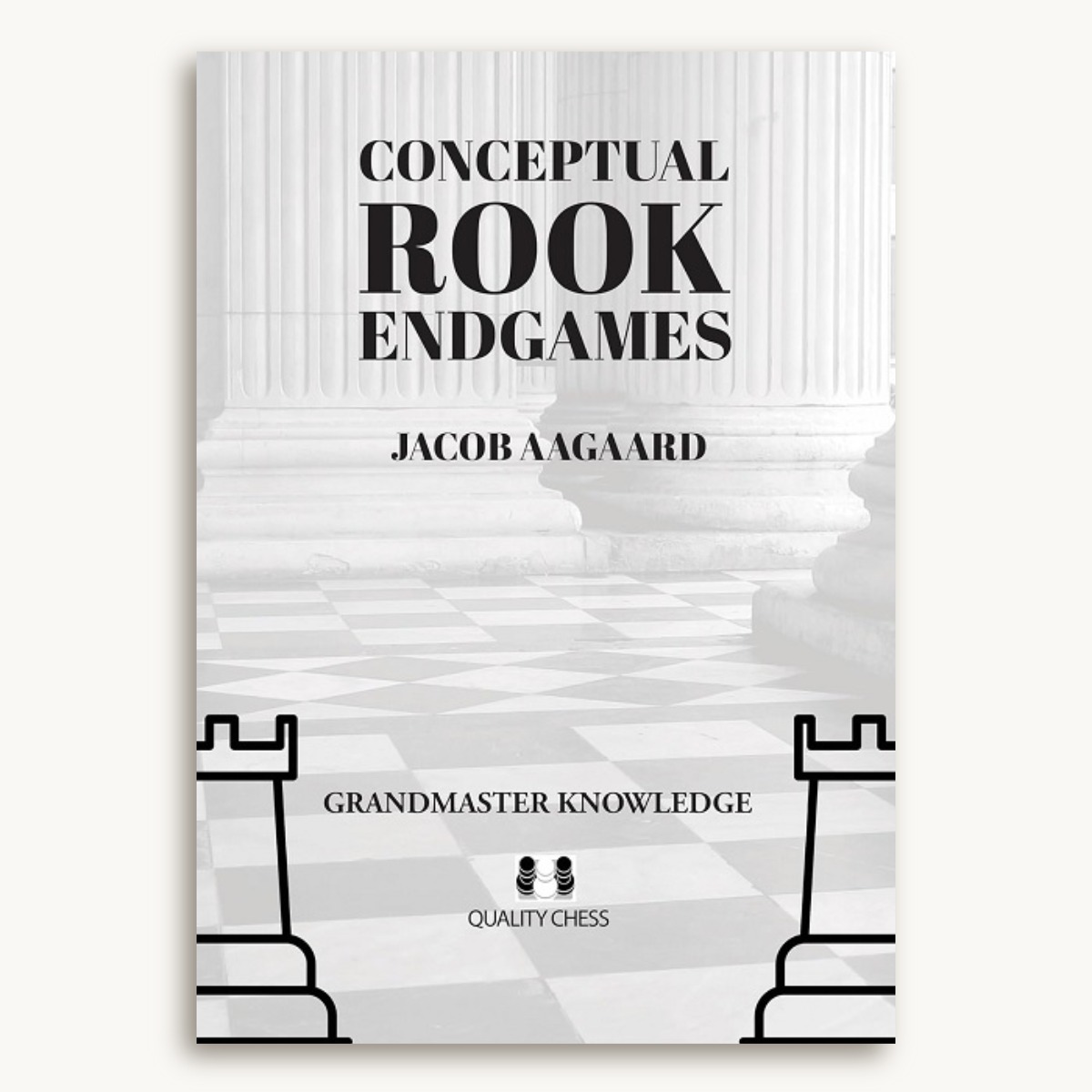 Conceptual Rook Endgames - image 1