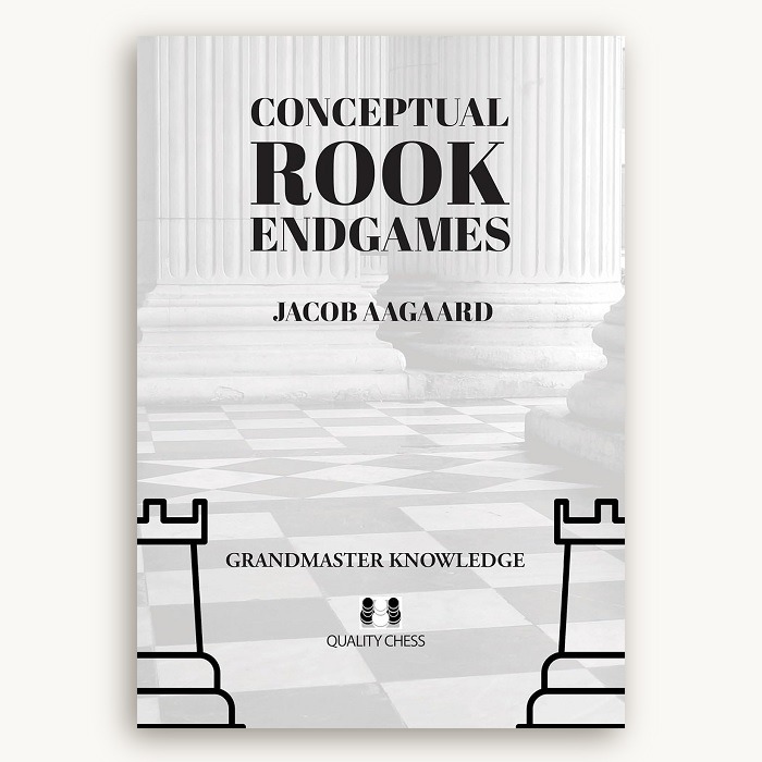 Conceptual Rook Endgames